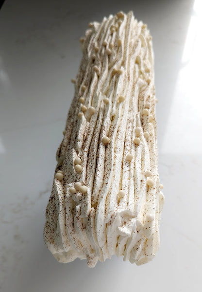 La Vanille (6 personnes)